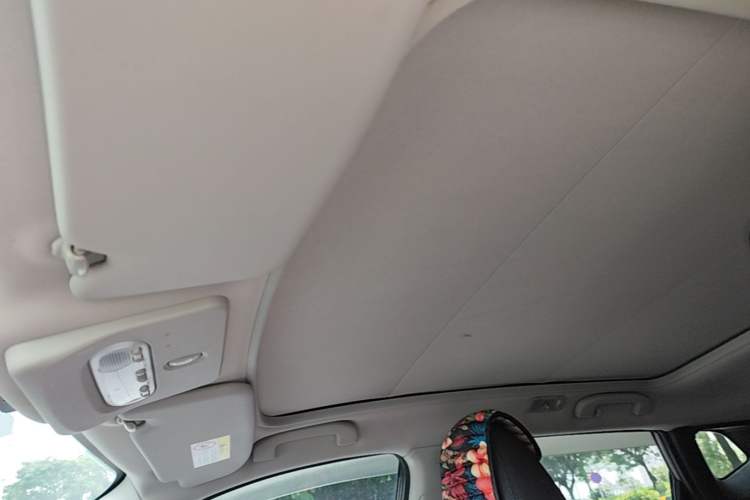 Used Nissan Qashqai 2019 2.0L CVT Luxury Edition Headliner