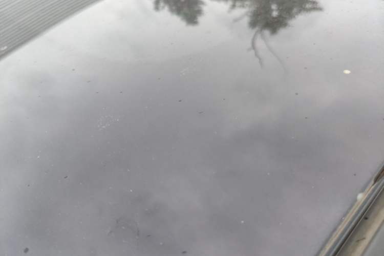 Used Nissan Qashqai 2019 2.0L CVT Luxury Edition Roof