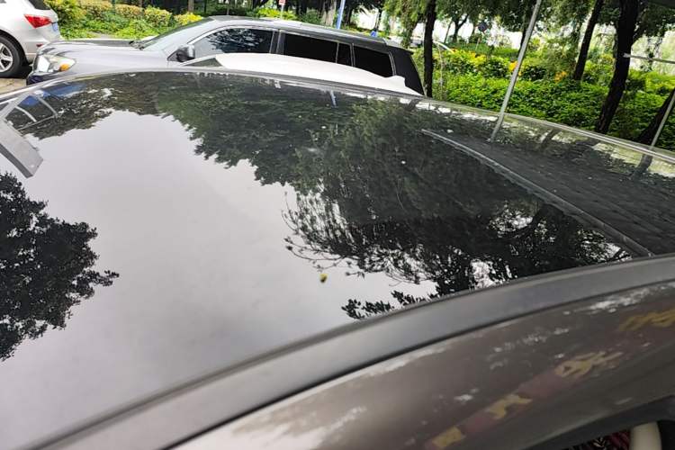 Used Nissan Qashqai 2019 2.0L CVT Luxury Edition Roof