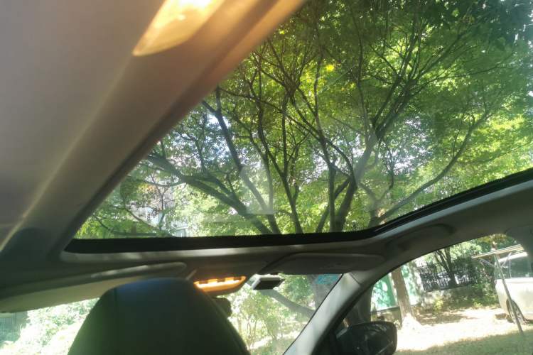 Used Nissan Qashqai 2019 2.0L CVT Luxury Edition Headliner