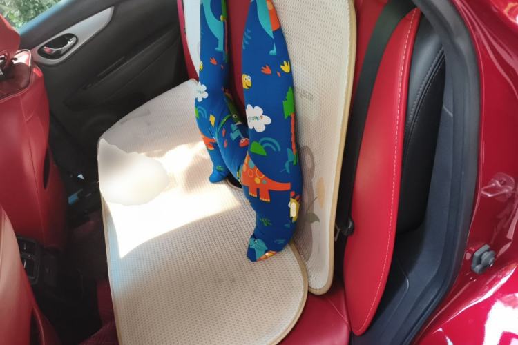 Used Nissan Qashqai 2019 2.0L CVT Luxury Edition Left Rear Seat