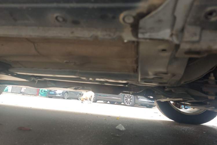 Used Nissan Qashqai 2019 2.0L CVT Smart Enjoyment Version Chassis Front Right