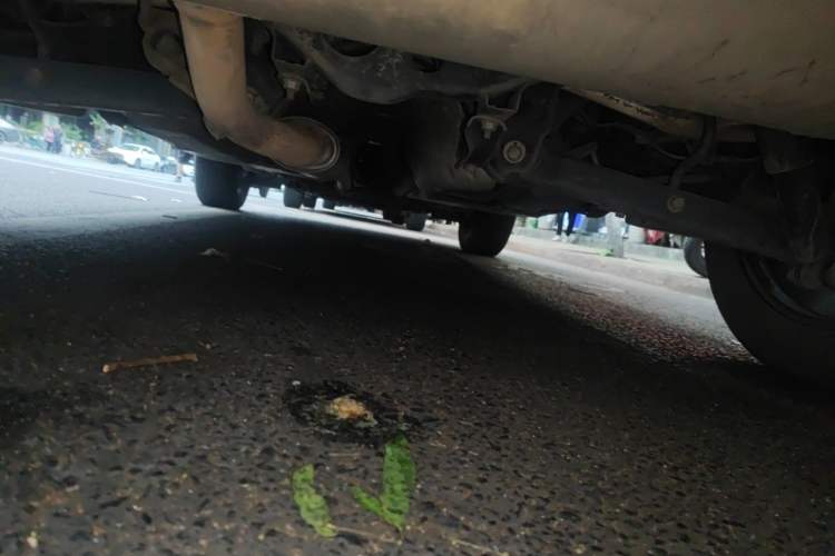 Used Nissan Qashqai 2019 2.0L CVT Luxury Edition Chassis Rear