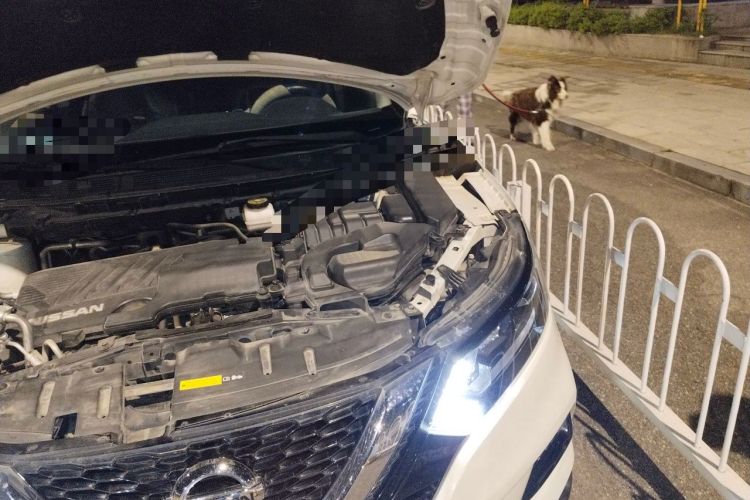Used Nissan Qashqai 2019 2.0L CVT Smart Enjoyment Version Engine Bay Left