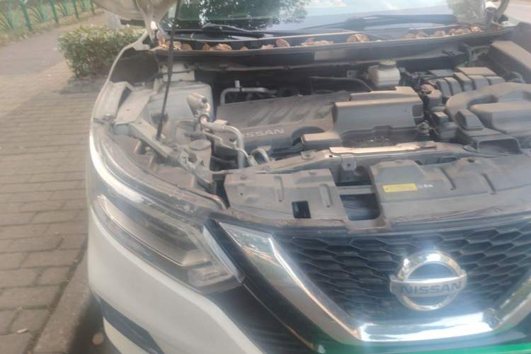 Used Nissan Qashqai 2019 2.0L CVT Luxury Edition Engine Bay Right