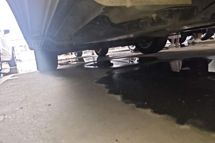 Used Nissan Qashqai 2019 2.0L CVT Smart Enjoyment Version Left Side Sill