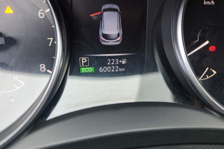 Used Nissan Qashqai 2019 2.0L CVT Luxury Edition Odometer Close Up