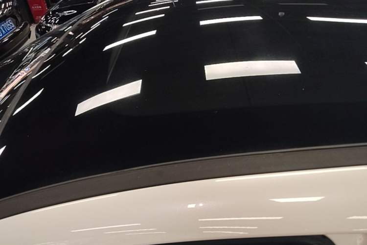 Used Nissan Qashqai 2019 2.0L CVT Luxury Edition Roof