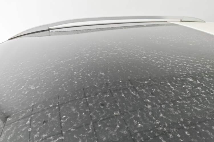 Used Nissan Qashqai 2019 2.0L CVT Luxury Edition Roof