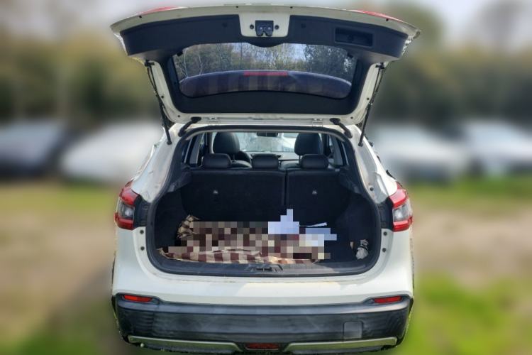 Used Nissan Qashqai 2019 2.0L CVT Luxury Edition Trunk