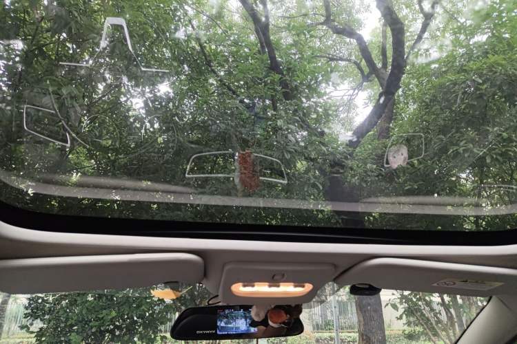 Used Nissan Qashqai 2019 2.0L CVT Luxury Edition Headliner