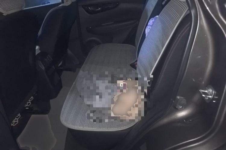Used Nissan Qashqai 2021 2.0L CVT Smart Enjoyment Version Left Rear Seat