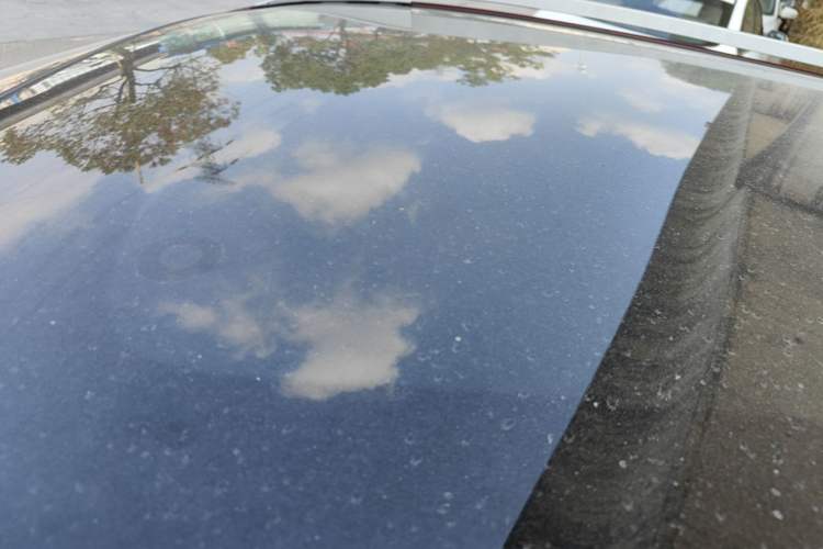 Used Nissan Qashqai 2021 2.0L CVT Luxury Edition Roof