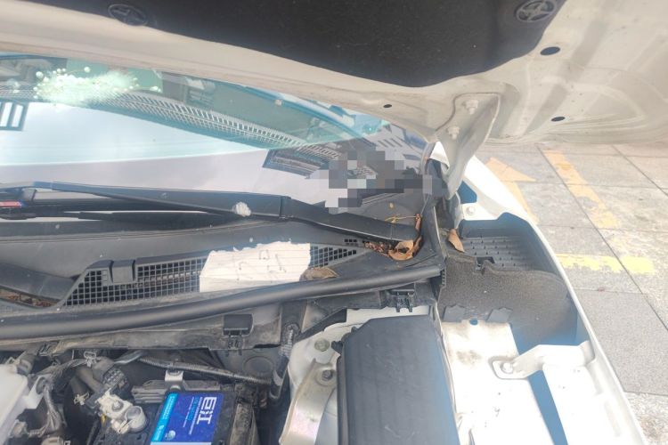 Used Nissan Qashqai 2021 2.0L CVT Smart Enjoyment Version Engine Bay Left