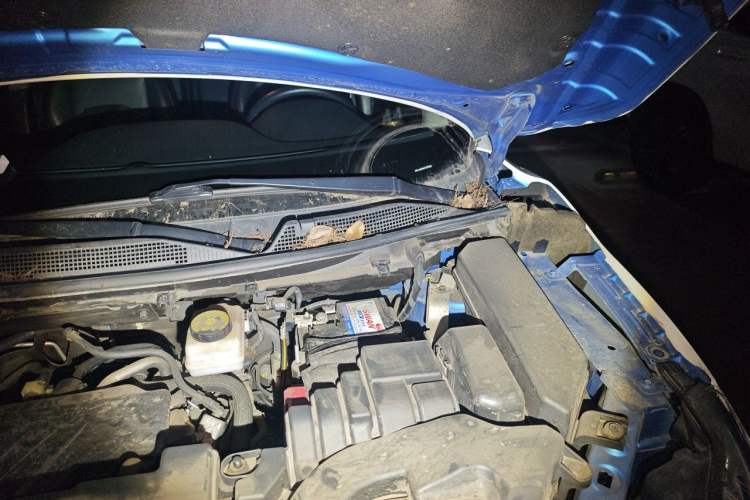 Used Nissan Qashqai 2021 2.0L CVT Luxury Edition Engine Bay Left