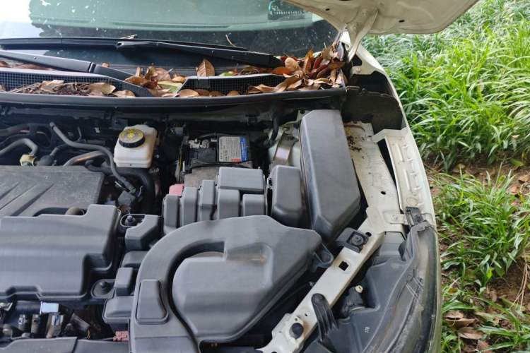 Used Nissan Qashqai 2021 2.0L CVT Luxury Navigation Edition Engine Bay Left