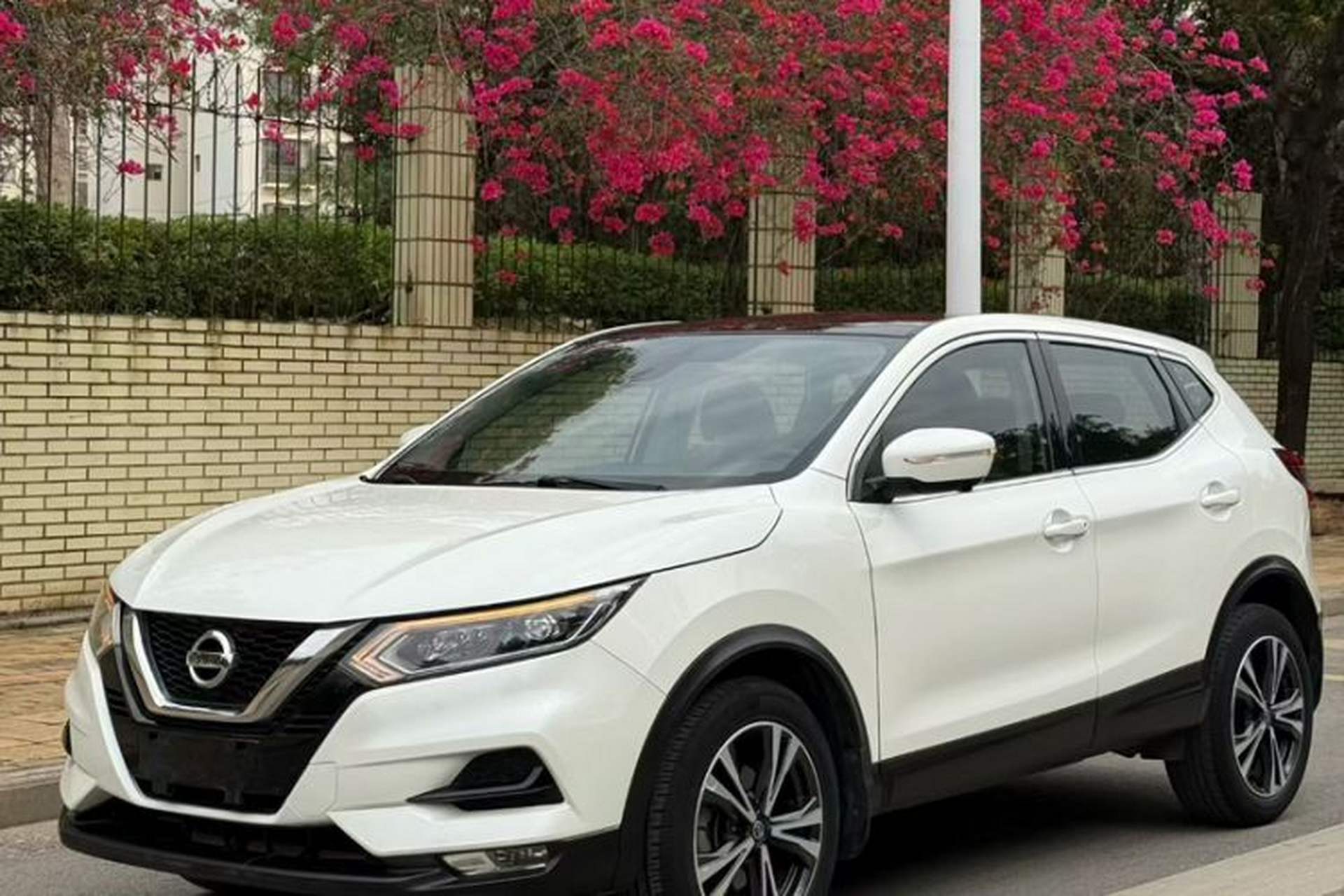 Used Nissan Qashqai 2021 2.0L CVT Luxury Edition Exterior 6