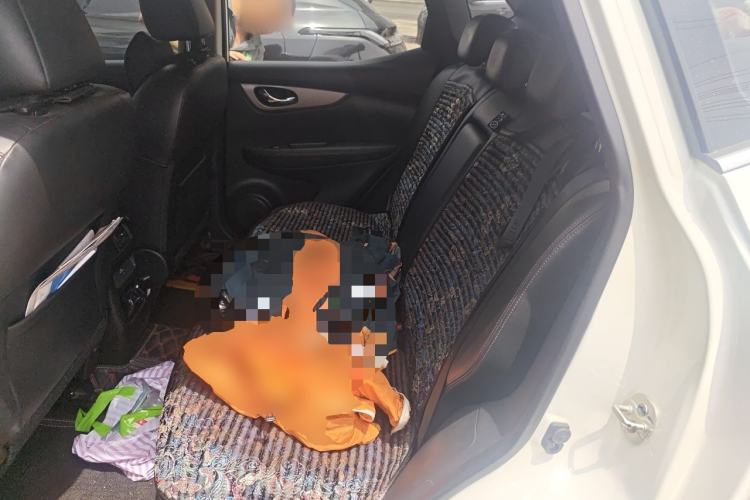 Used Nissan Qashqai 2021 2.0L CVT Luxury Edition Left Rear Seat
