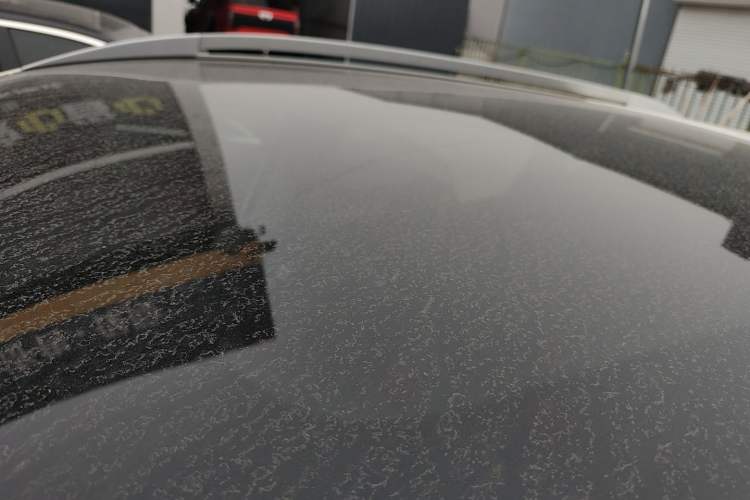 Used Nissan Qashqai 2021 2.0L CVT Luxury Edition Roof
