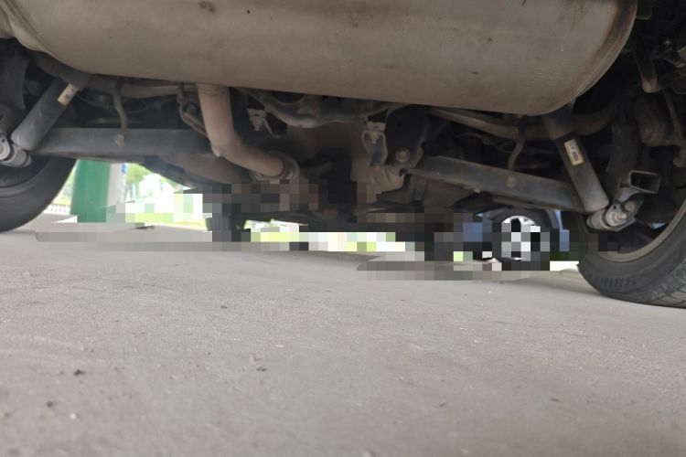 Used Nissan Qashqai 2021 2.0L CVT Luxury Edition Chassis Rear