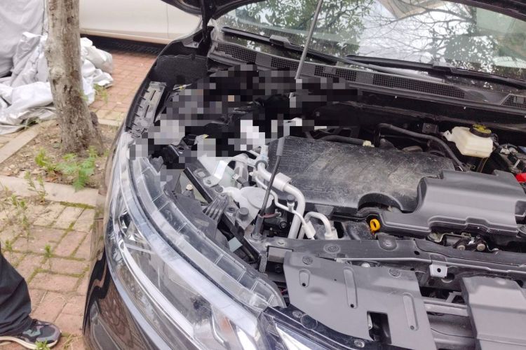 Used Nissan Qashqai 2022 2.0L CVT XV Smart Enjoyment Version Engine Bay Right