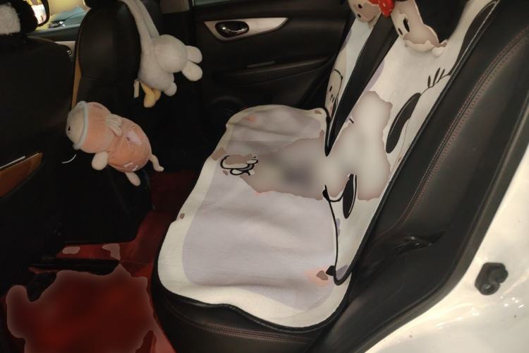 Used Nissan Qashqai 2022 2.0L CVT XV Premier Luxury Edition Left Rear Seat