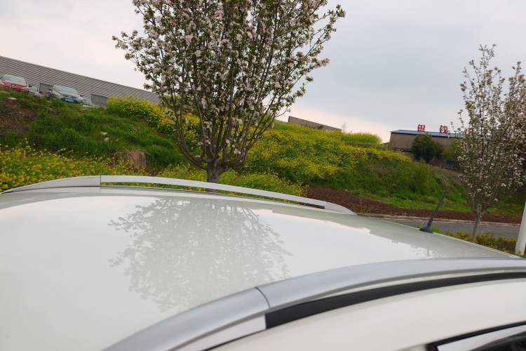Used Nissan Qashqai 2022 2.0L CVT XV Smart Enjoyment Version Roof