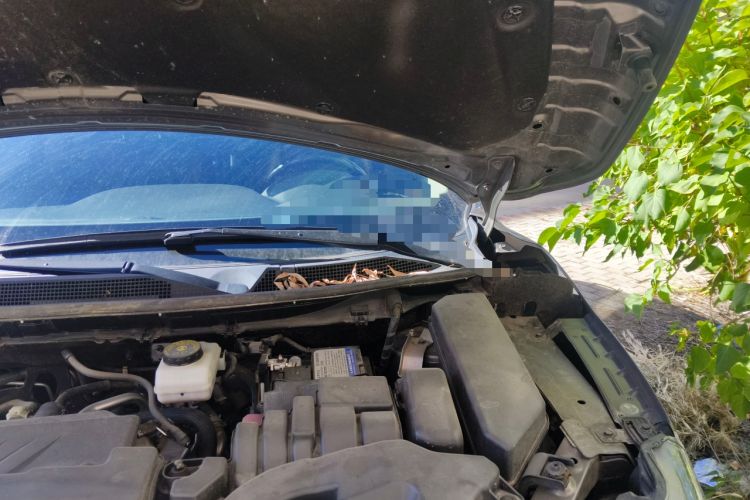 Used Nissan Qashqai 2022 2.0L CVT XV Premier Luxury Edition Engine Bay Left