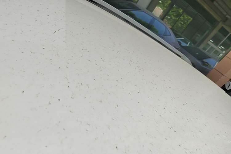 Used Nissan Qashqai 2023 Classic 2.0L CVT XV Comfort Edition Roof
