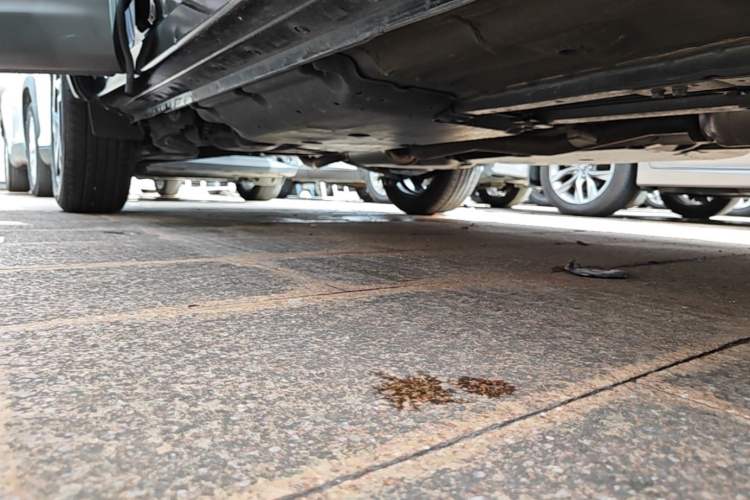 Used Nissan Qashqai 2025 Facelifted Honor 2.0L CVT XV+ Leading Edition Right Side Sill