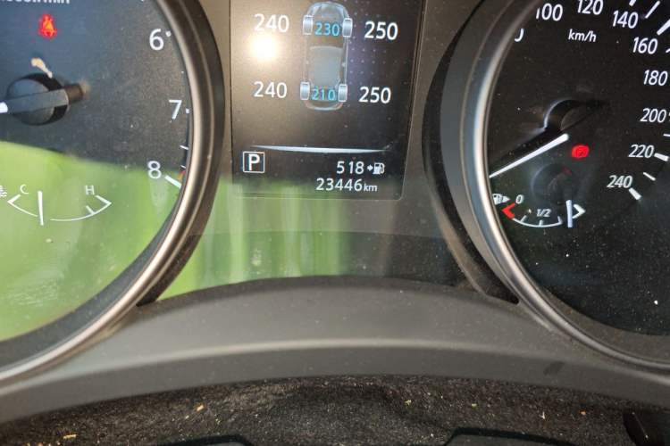 Used Nissan Qashqai 2025 Honor 2.0L CVT XV Genuine Edition Odometer Close Up