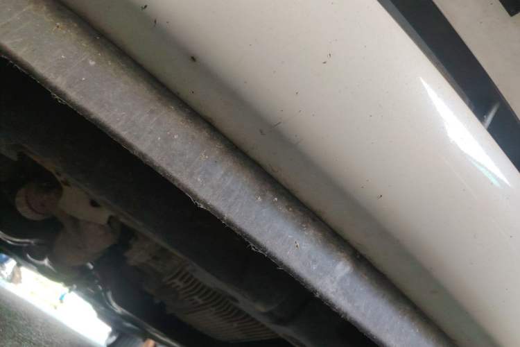 Used Nissan Quest 2015 3.5L SL Chassis Front