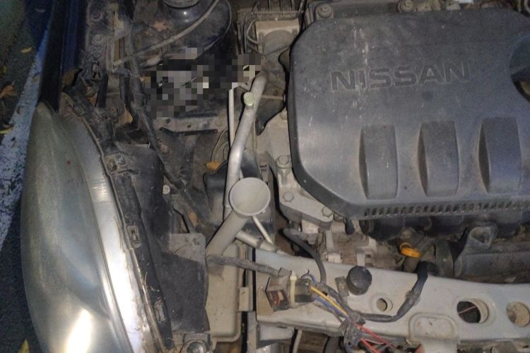 Used Nissan Sunny 2011 1.5XL Manual Deluxe Edition Engine Bay Right