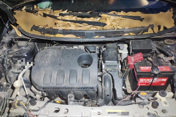 Used Nissan Sunny 2011 1.5XL Manual Deluxe Edition Engine Bay