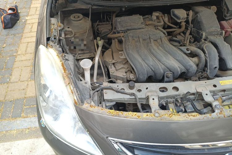 Used Nissan Sunny 2011 1.5XE CVT Comfort Edition Engine Bay Right