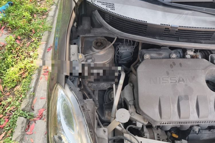 Used Nissan Sunny 2011 1.5XL Manual Deluxe Edition Engine Bay Right