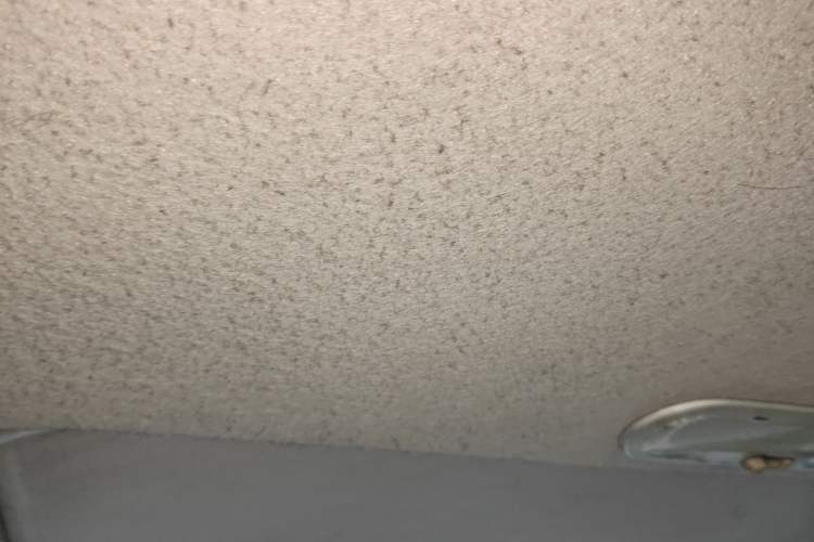 Used Nissan Sunny 2011 1.5XL CVT Luxury Edition Headliner