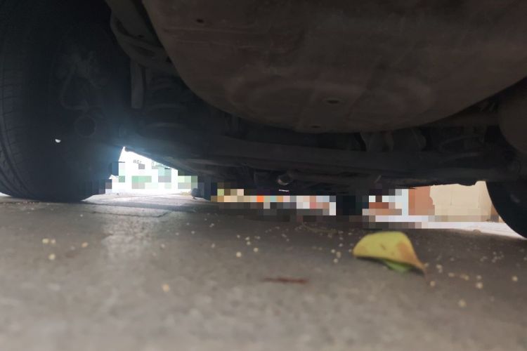 Used Nissan Sunny 2011 1.5XE CVT Comfort Edition Chassis Rear