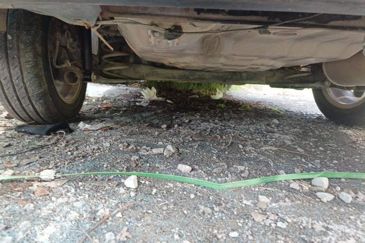 Used Nissan Sunny 2011 1.5XL CVT Luxury Edition Chassis Rear
