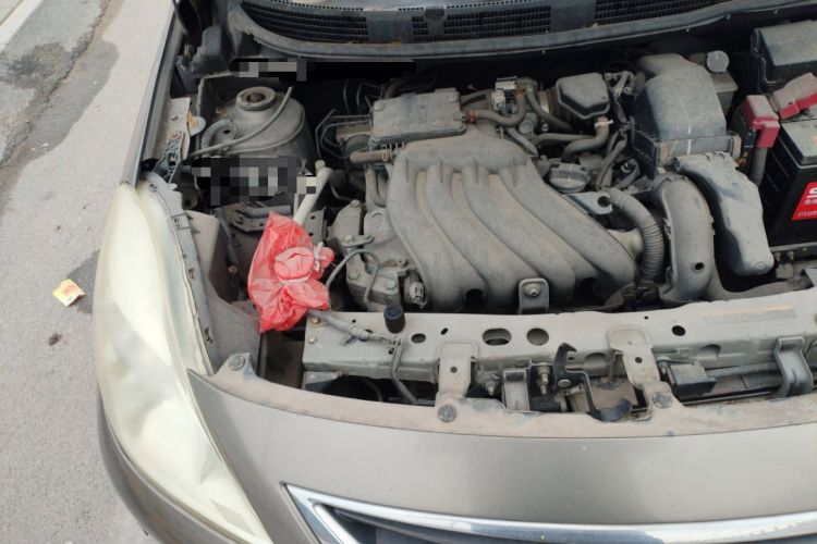 Used Nissan Sunny 2011 1.5XE Manual Comfort Edition Engine Bay Right