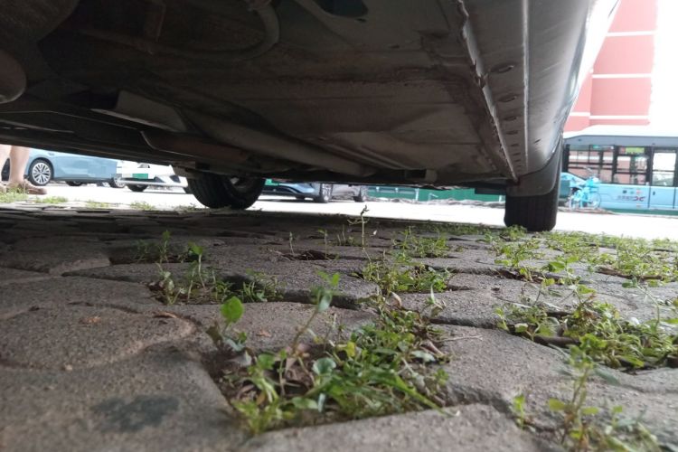 Used Nissan Sunny 2014 1.5XE Manual Comfort Edition Chassis Rear Right