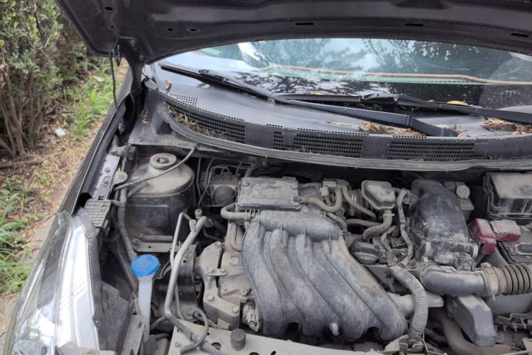 Used Nissan Sunny 2014 1.5XE Manual Comfort Edition Engine Bay Right