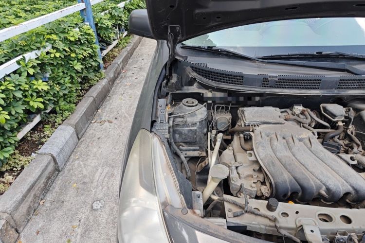 Used Nissan Sunny 2014 1.5XE Manual Comfort Edition Engine Bay Right
