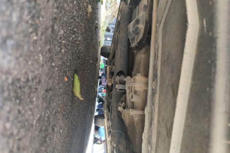 Used Nissan Sunny 2014 1.5XE Manual Comfort Edition Chassis Front