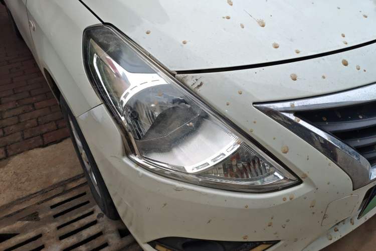 Used Nissan Sunny 2014 1.5XE Manual Comfort Edition Right Front Headlight