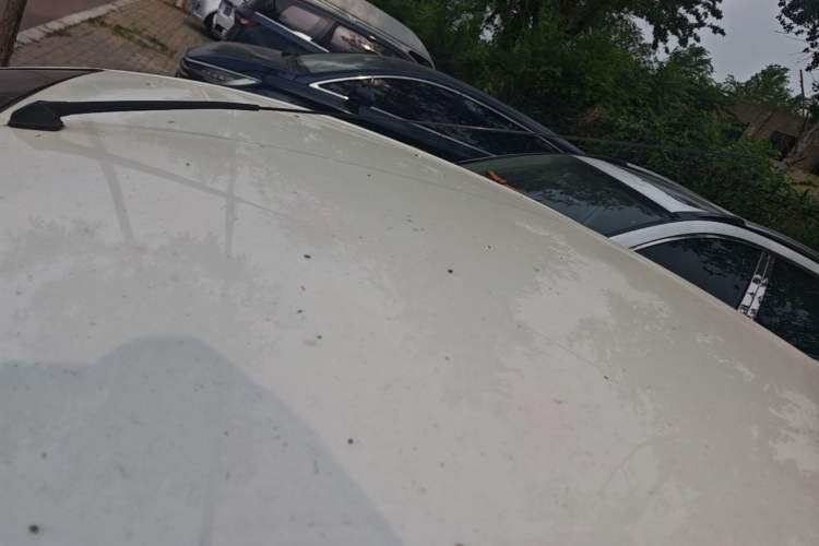 Used Nissan Sunny 2014 1.5XE Manual Comfort Edition Roof