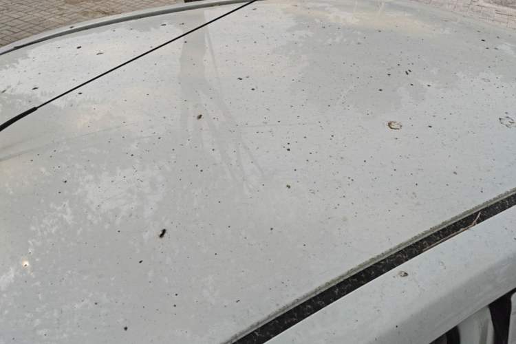 Used Nissan Sunny 2014 1.5XE Manual Comfort Edition Roof