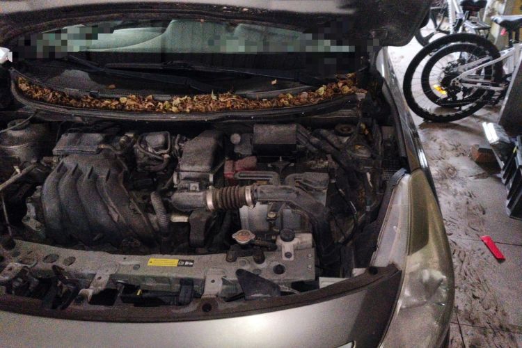 Used Nissan Sunny 2015 1.5XE Manual Comfort Edition Engine Bay Left