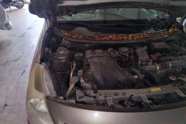 Used Nissan Sunny 2015 1.5XE Manual Comfort Edition Engine Bay Right