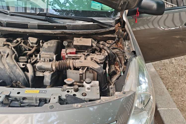 Used Nissan Sunny 2015 1.5XE Manual Comfort Edition Engine Bay Left